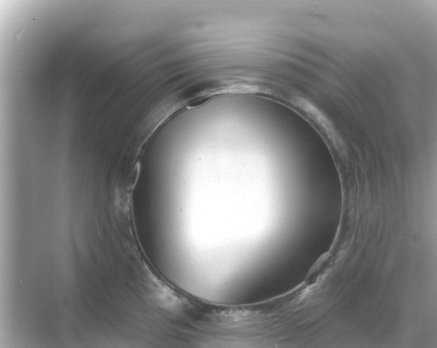 X0000068771193200605051623