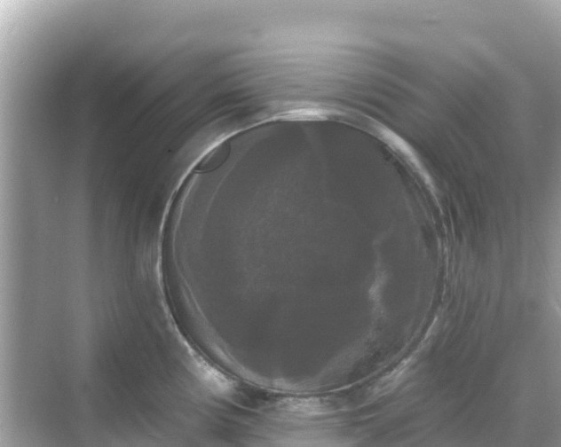 X0000068771194200605051623