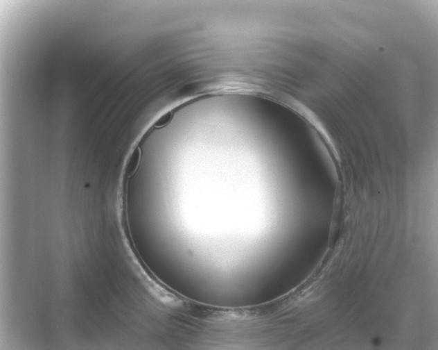 X0000068771195200605051623