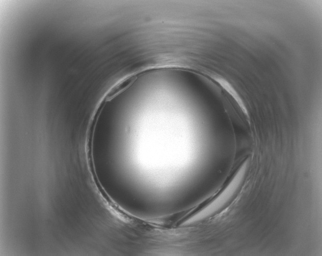 X0000068771197200605051623