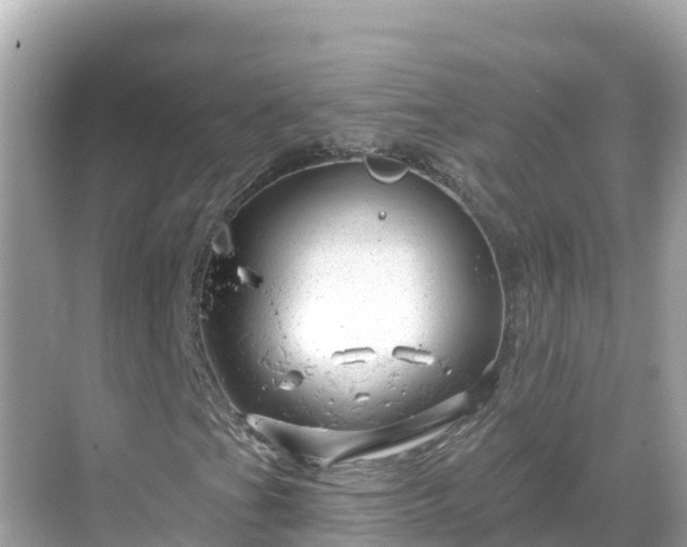 X0000068771201200605051623