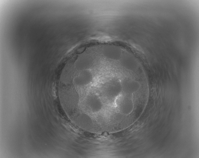 X0000068771205200605051623