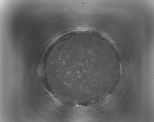 X0000068771208200605051623