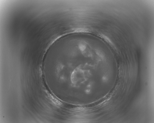 X0000068771212200605051623