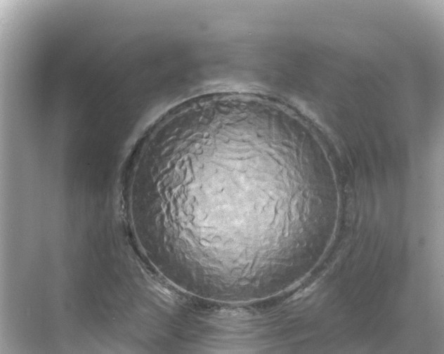 X0000068771215200605051623