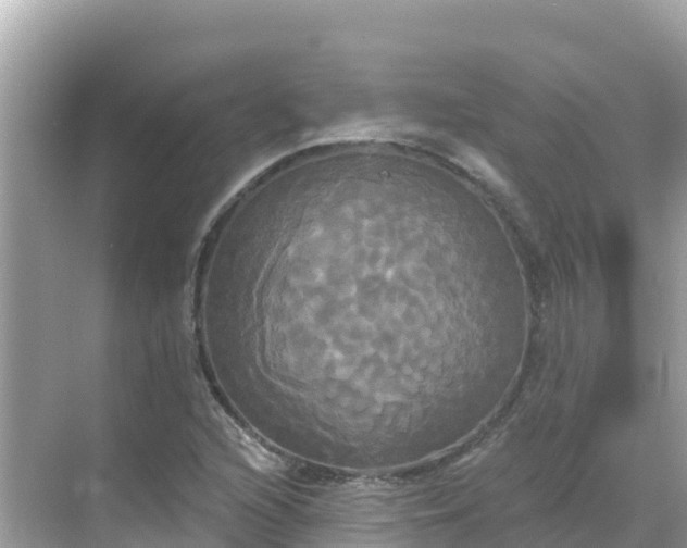 X0000068771216200605051623