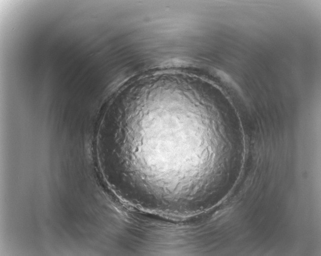 X0000068771217200605051623