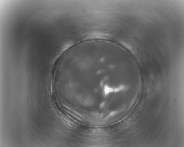 X0000068771219200605051623