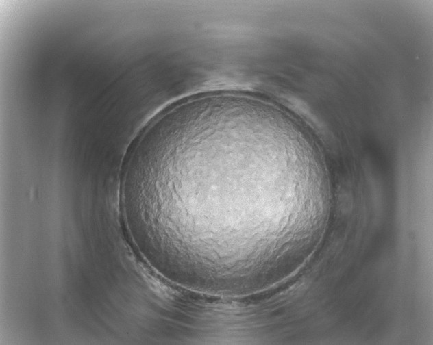 X0000068771220200605051623