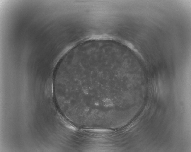 X0000068771221200605051623