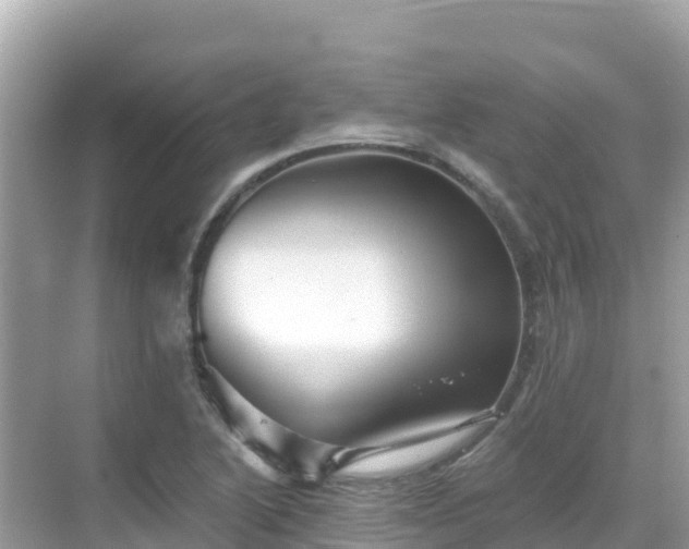 X0000068771222200605051623