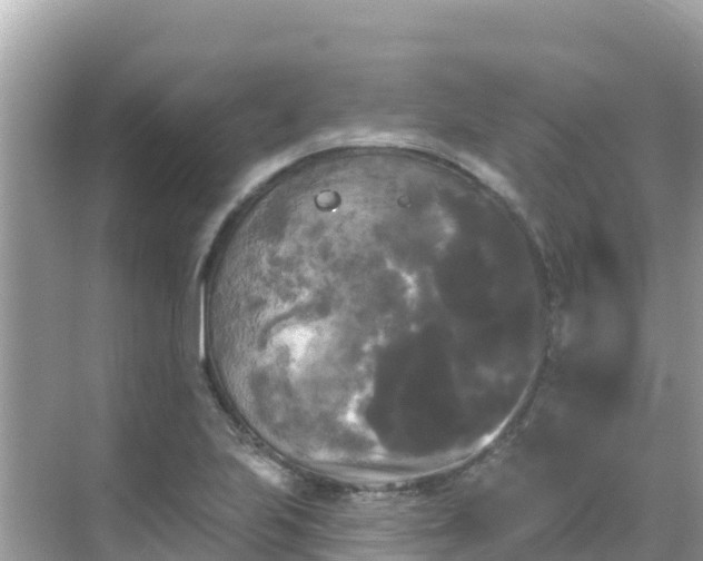 X0000068771223200605051623