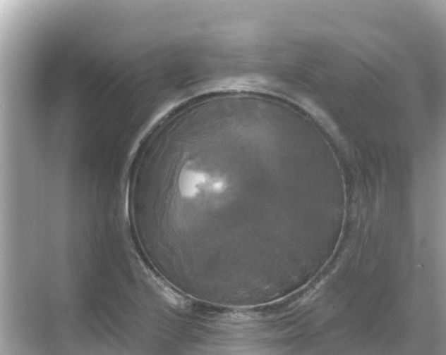 X0000068771224200605051623