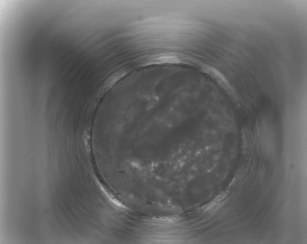 X0000068771225200605051623