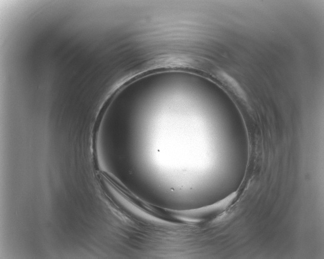 X0000068771226200605051623