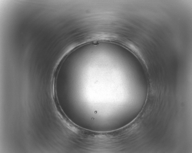 X0000068771227200605051623