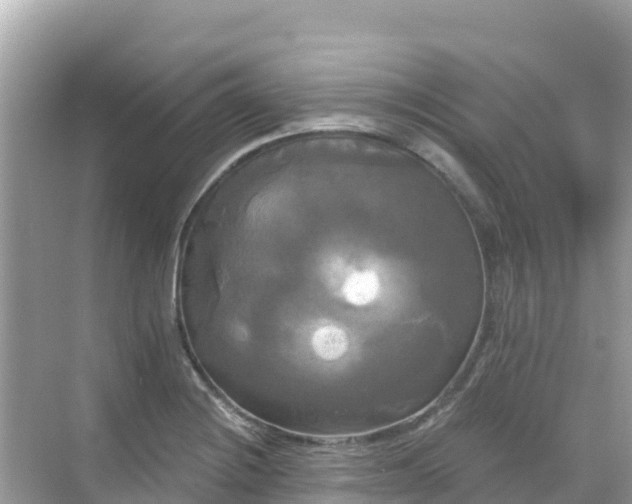 X0000068771228200605051623