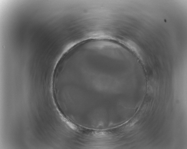 X0000068771231200605051623