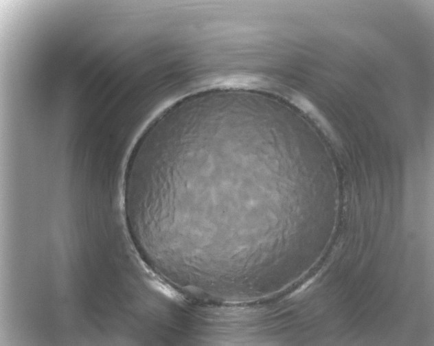 X0000068771232200605051623