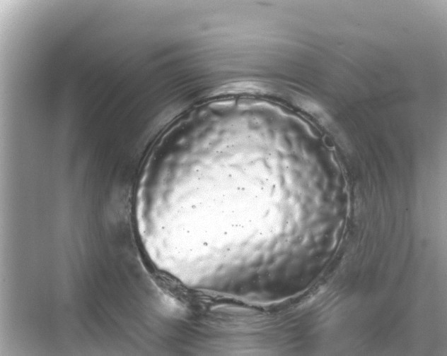 X0000068771233200605051623