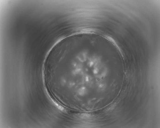 X0000068771235200605051623