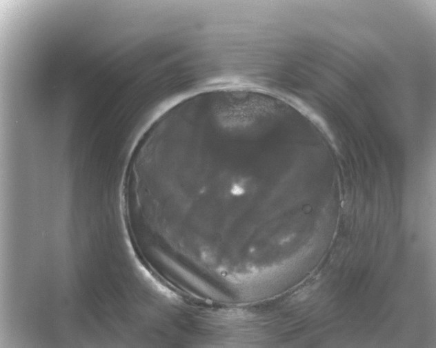 X0000068771239200605051623