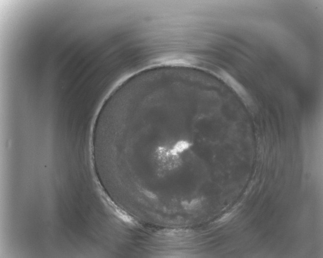 X0000068771240200605051623