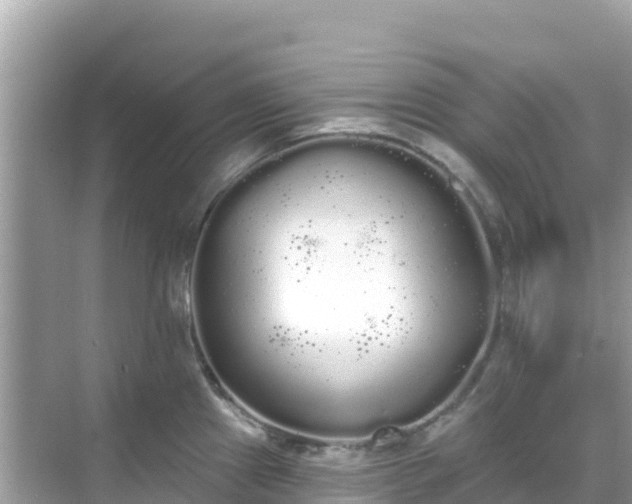 X0000068771241200605051623