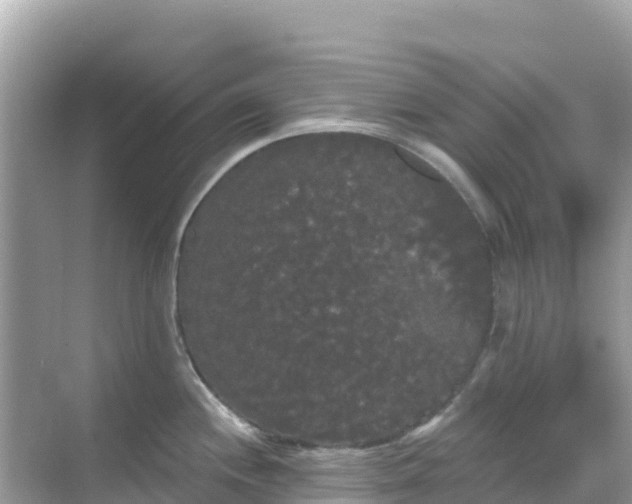 X0000068771244200605051623