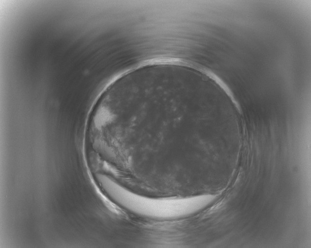 X0000068771245200605051623