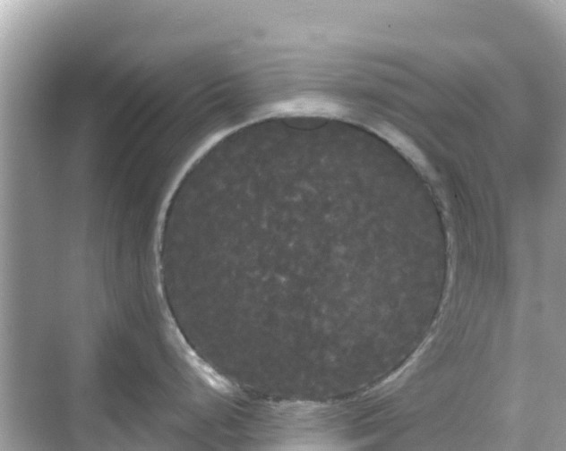 X0000068771248200605051623