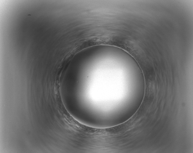 X0000068771250200605051623