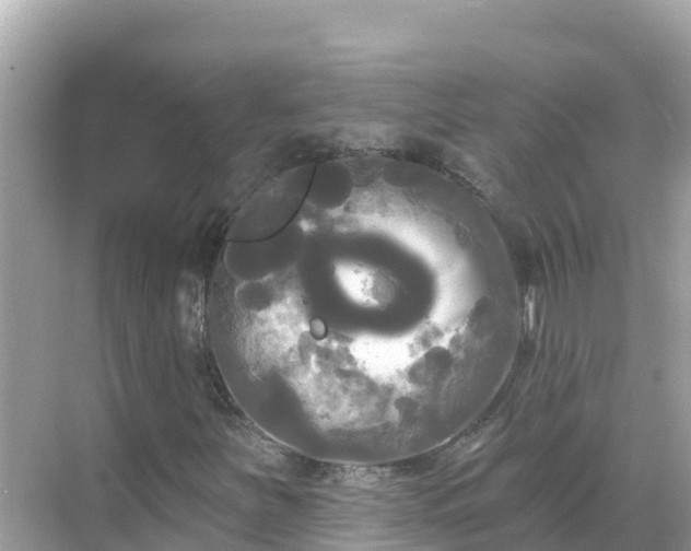 X0000068771251200605051623