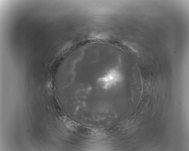 X0000068771254200605051622