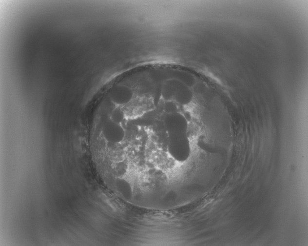 X0000068771255200605051622