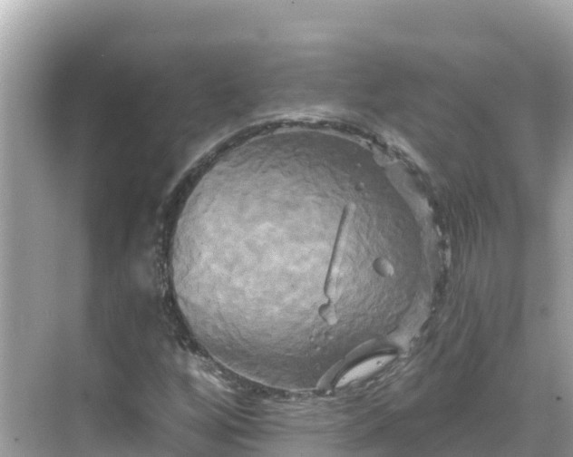 X0000068771256200605051622