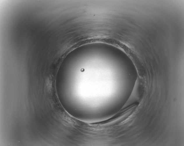 X0000068771257200605051622