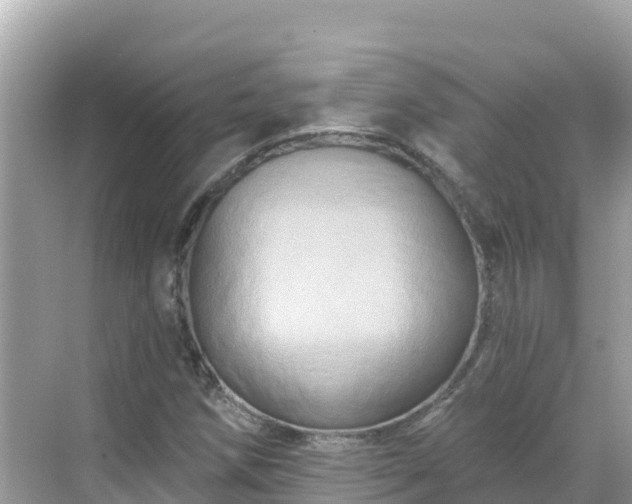 X0000068771258200605051622