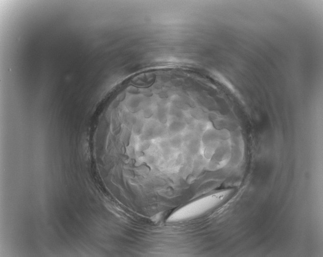 X0000068771259200605051622