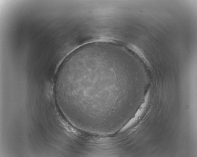 X0000068771260200605051622