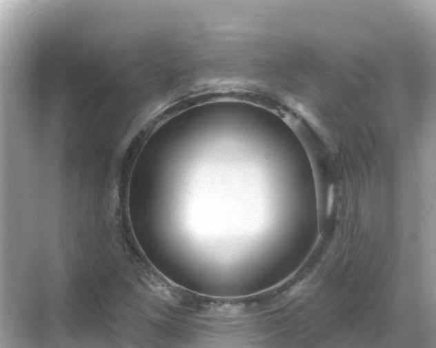 X0000068771261200605051622