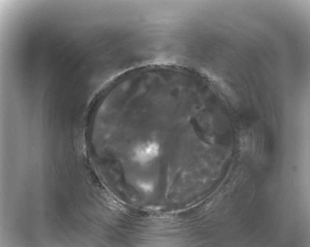 X0000068771262200605051622