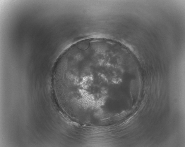 X0000068771263200605051622