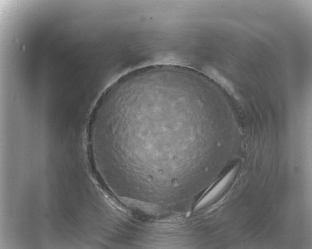 X0000068771264200605051622