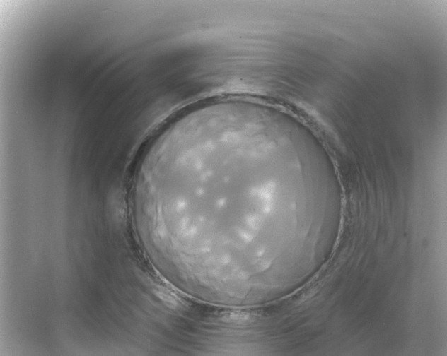 X0000068771266200605051622