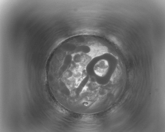 X0000068771267200605051622