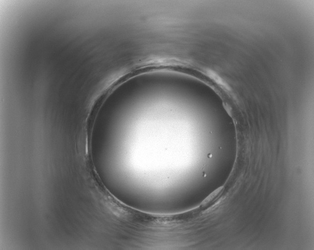 X0000068771269200605051622