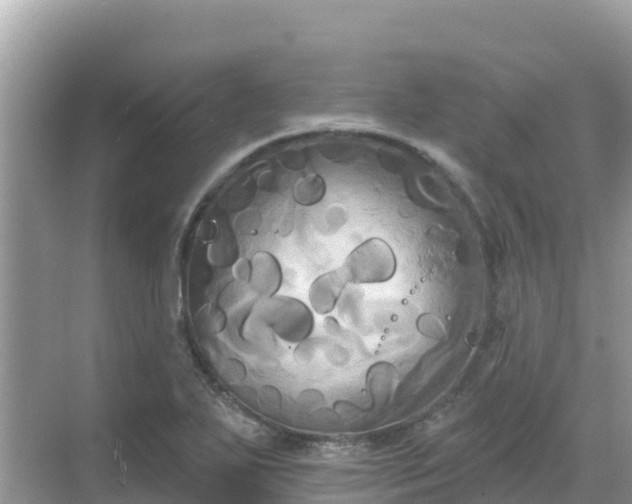 X0000068771271200605051622