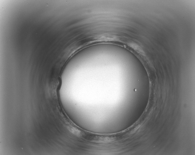 X0000068771273200605051622