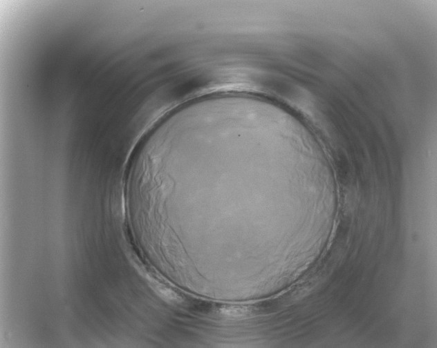 X0000068771274200605051622